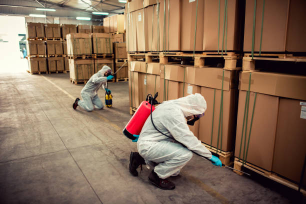 Best Exterminator Services  in Federalsburg, MD