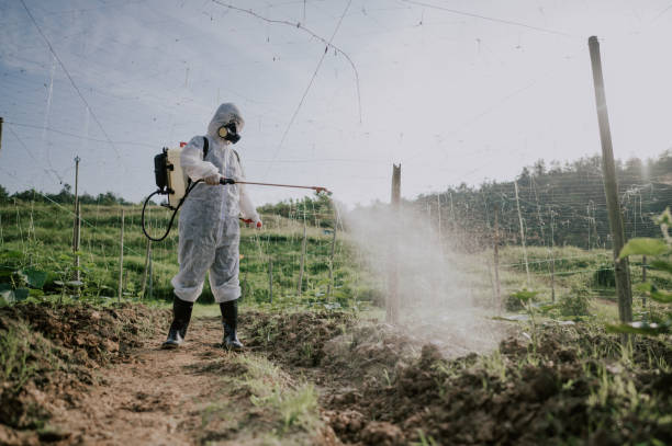 Best Affordable Pest Control Services  in Federalsburg, MD