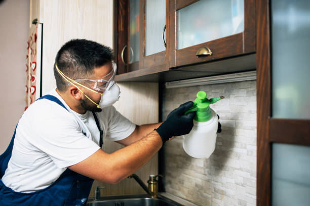 Best Commercial Pest Control Services  in Federalsburg, MD