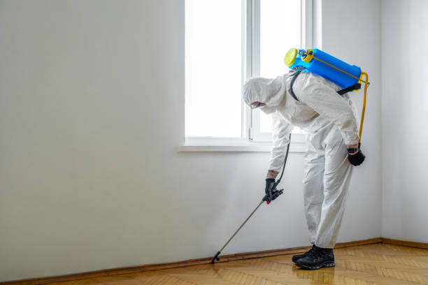 Best Pest Removal Services  in Federalsburg, MD