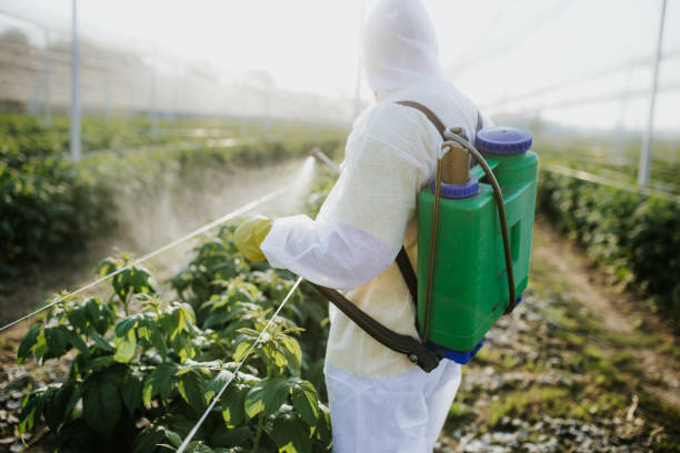 Best Rat Extermination Near Me  in Federalsburg, MD